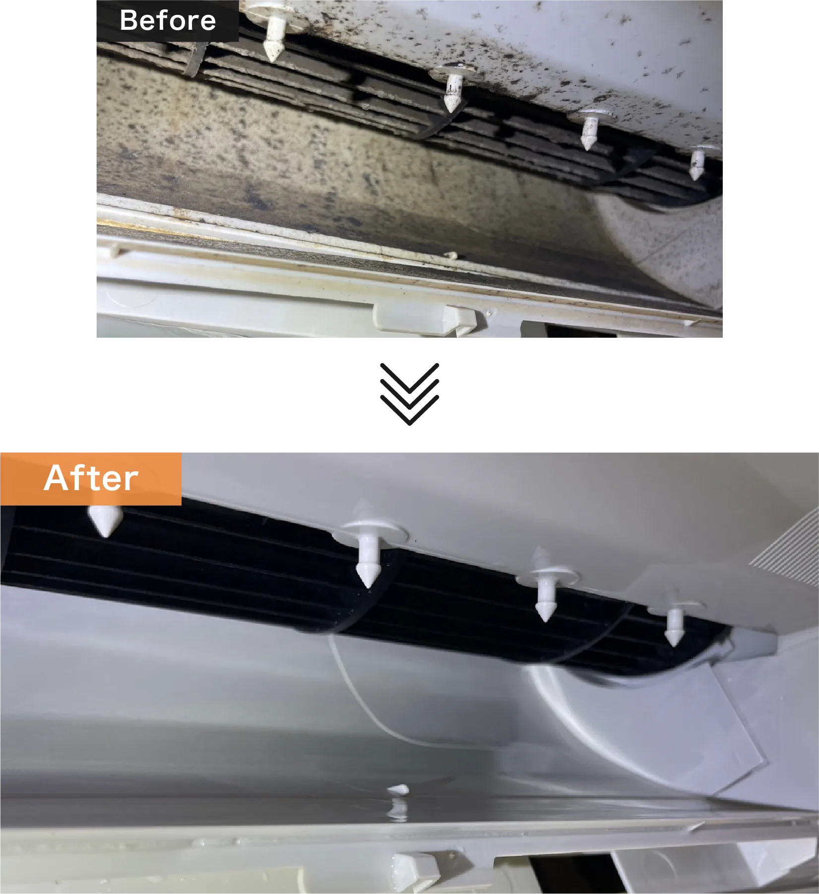 ネット情報は不安なので友人からの紹介で